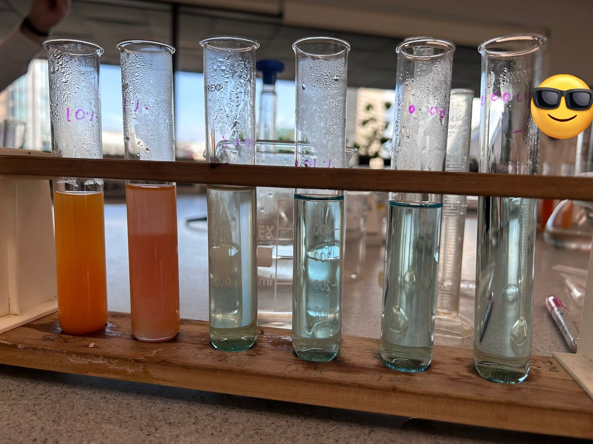 (っ◔◡◔)っ Jacqueline 🌙 tweet media