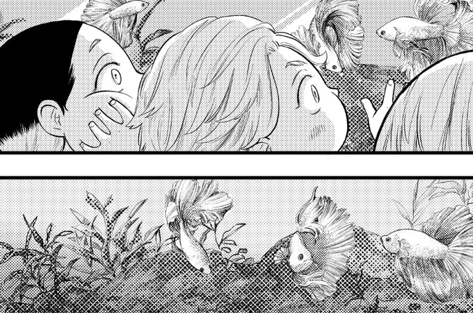 原稿が終わりました。
誤って消してしまったベタちゃんもう一度載せます。反応してくださった方すみません。 