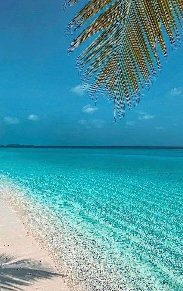 Earth pictures 🌍🌎🌏 (@__earthpictures) on Twitter photo 