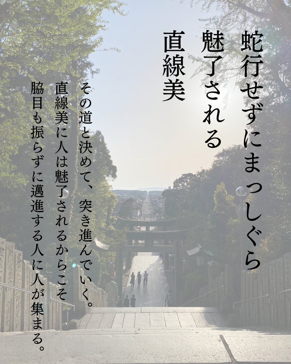 線でも行動でも直線の美しさってありますね。
📷福岡_宮地嶽神社