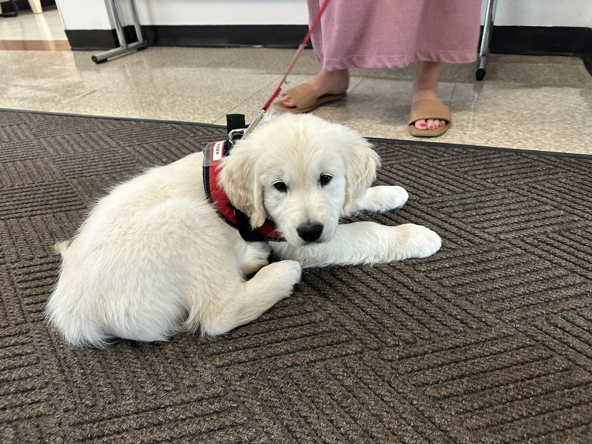 Marybeth Callanan tweet media