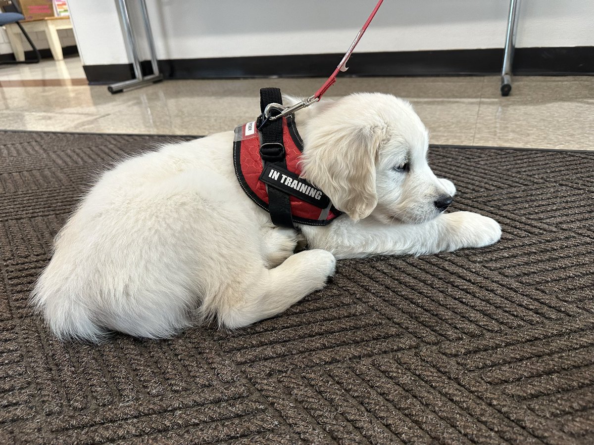 Marybeth Callanan tweet media