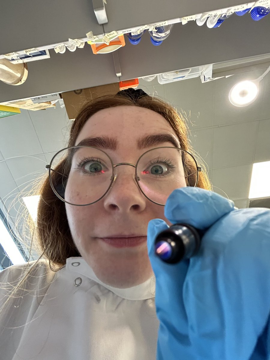 Aisling Brady tweet media