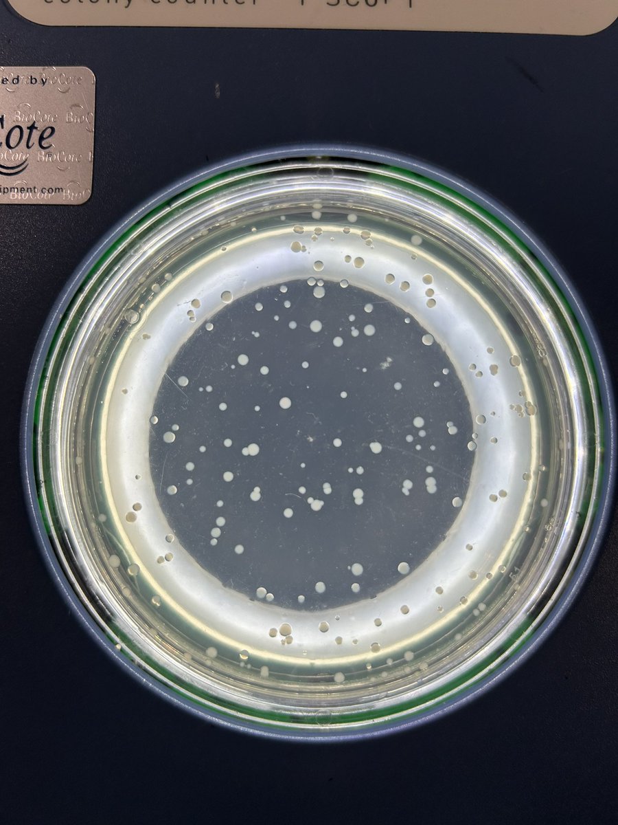 Aisling Brady tweet media