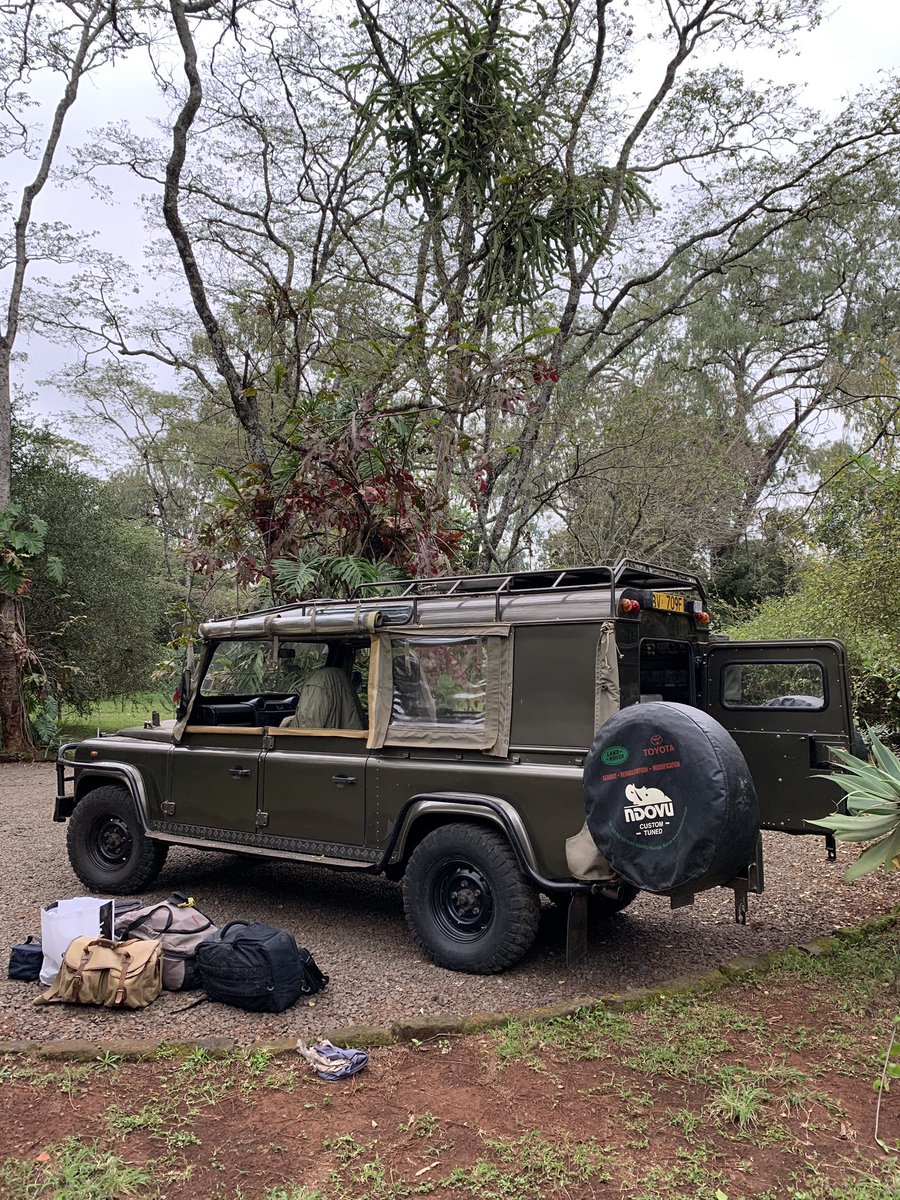 The Big Cat People tweet media