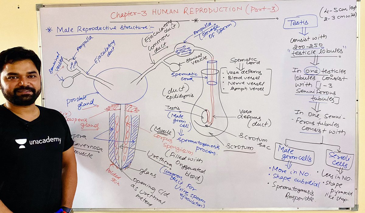 imBioMaster's tweet photo. Human reproduction✌️😀

#pw  #byjus  #allen #aakashinstitute #aakashbyjus #physicswallah #sankalp #neetexam #neetbiology #neetpreparation #neetcoaching #doctors #unacademy #unacademyneet #edtech #edtechteachers #edtechstartup #educational #neet2024 #humanphysiology https://t.co/zSPCLGbBJc