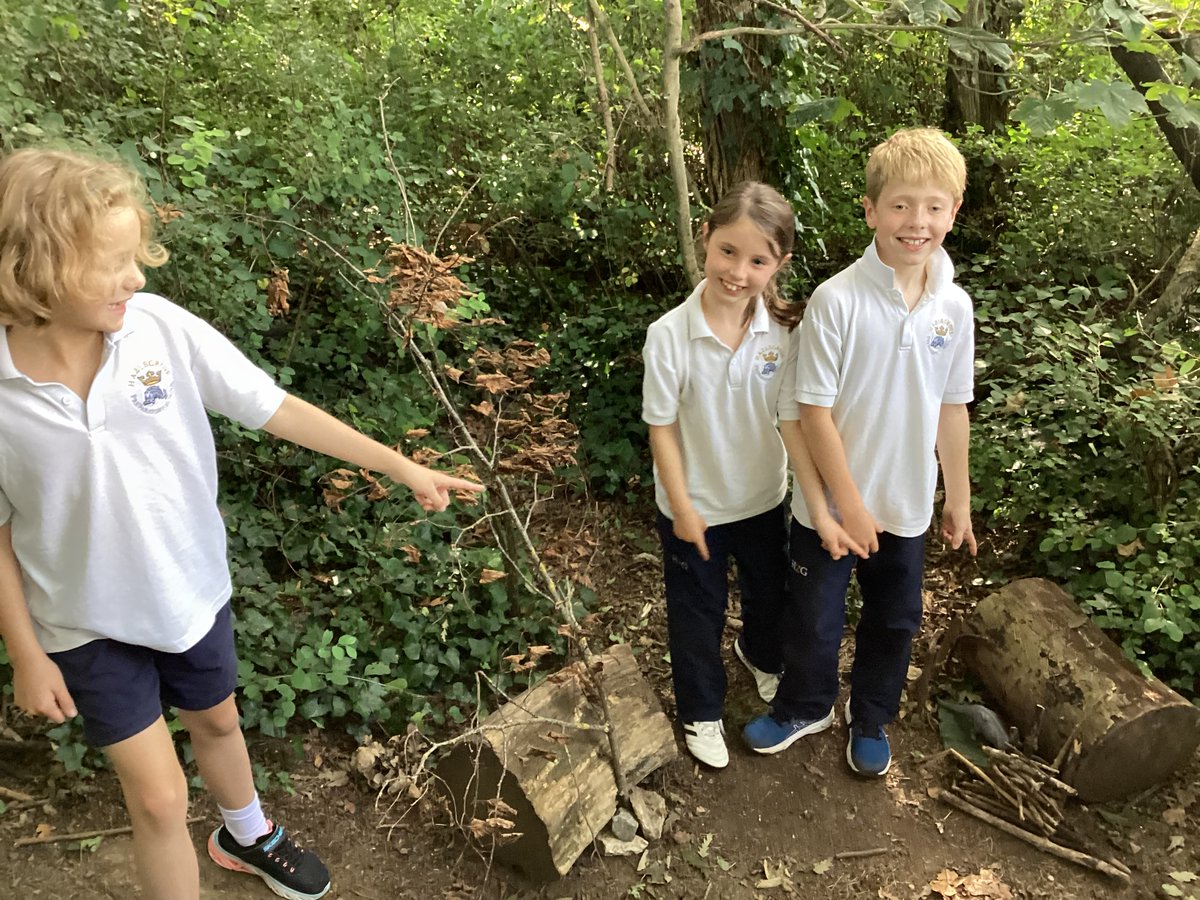 HZG_OutdoorEd's tweet photo. #HazlegroveYear4 have been building dinosaur dens in Outdoor Ed this week! #HazlegroveOutdoorEd #AdventureAwaits https://t.co/X4xOXWsPPR