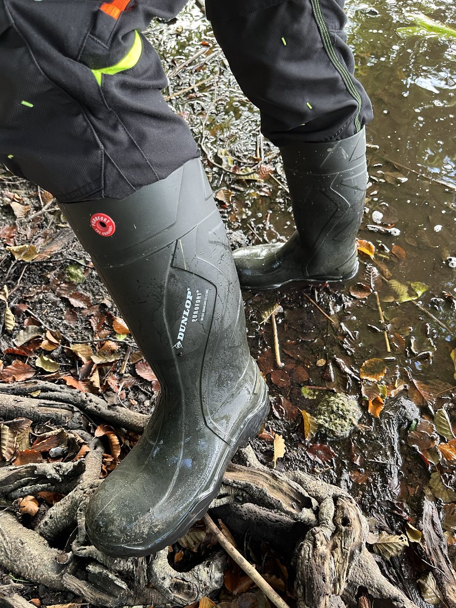 NorabootsDK tweet media