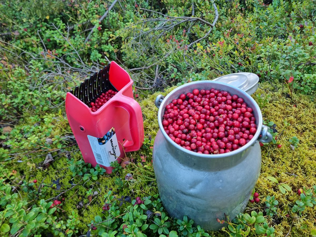 Simo Tiainen tweet media