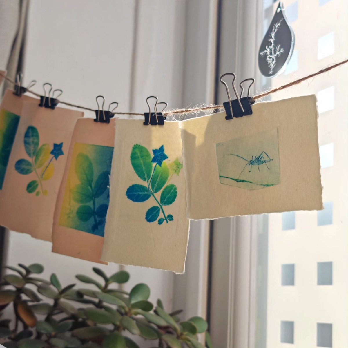 LynnBaileyPrint's tweet image. Visit Devon Open Studios venue EX3 this weekend, and you can even have a go! I have a tiny press suitable for my studio packed with goodies. 
Open today until 5pm 31 St Leonards Rd EX2 4LR.
#printmaking #handprinted #devonopenstudios My larger works are printed @DoubleElephant