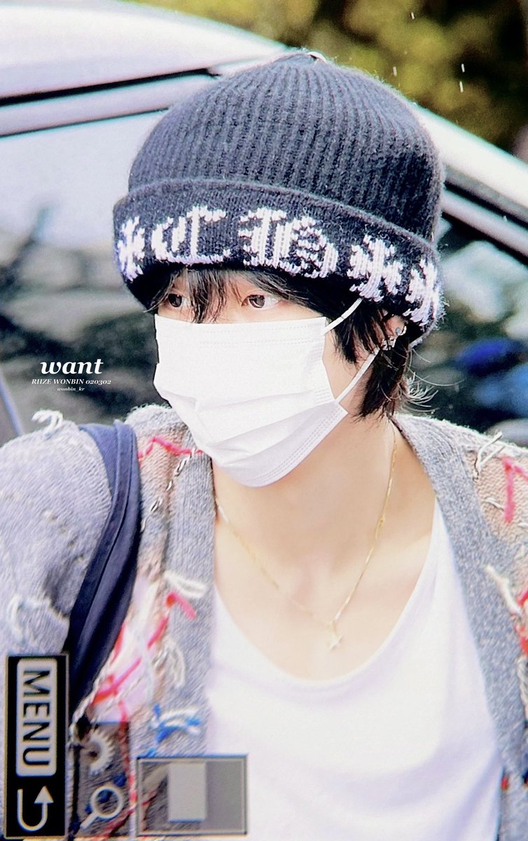 instiz tweet picture