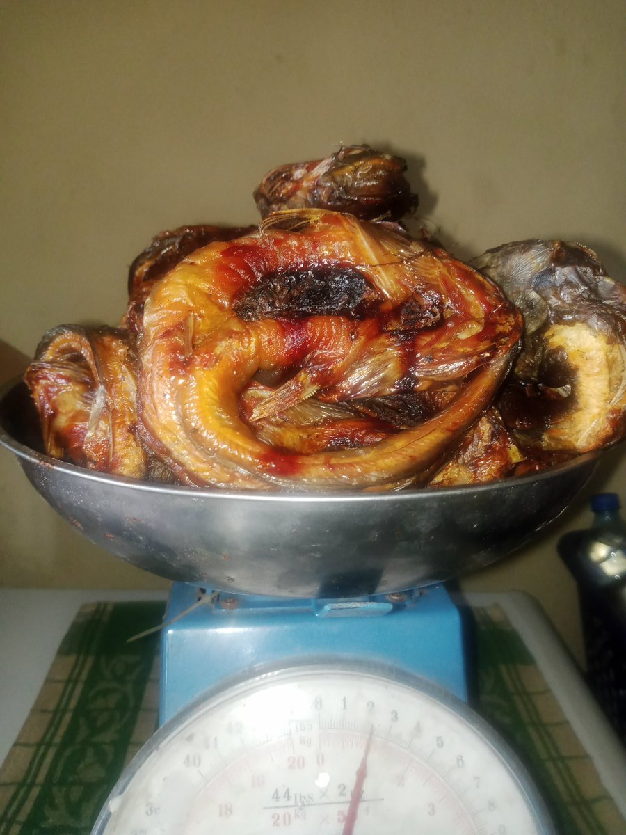 Okon_Eteobong's tweet photo. It's another weekend.
Why will you cook without catfish?
60pc for 10k
My DM is open or WhatsApp 08069786158
Delivery under 24hrs
@akinwale_cfi @ZeeZay010 @edobong_akpabio @Nig_Farmer @Abdulra92084513 @AbiolaYuusuf @BaaleOfMilan @dhot_man @AnietieIsrael @BashorunGa_ @ElTeezy1 https://t.co/VRHO8kwpqY