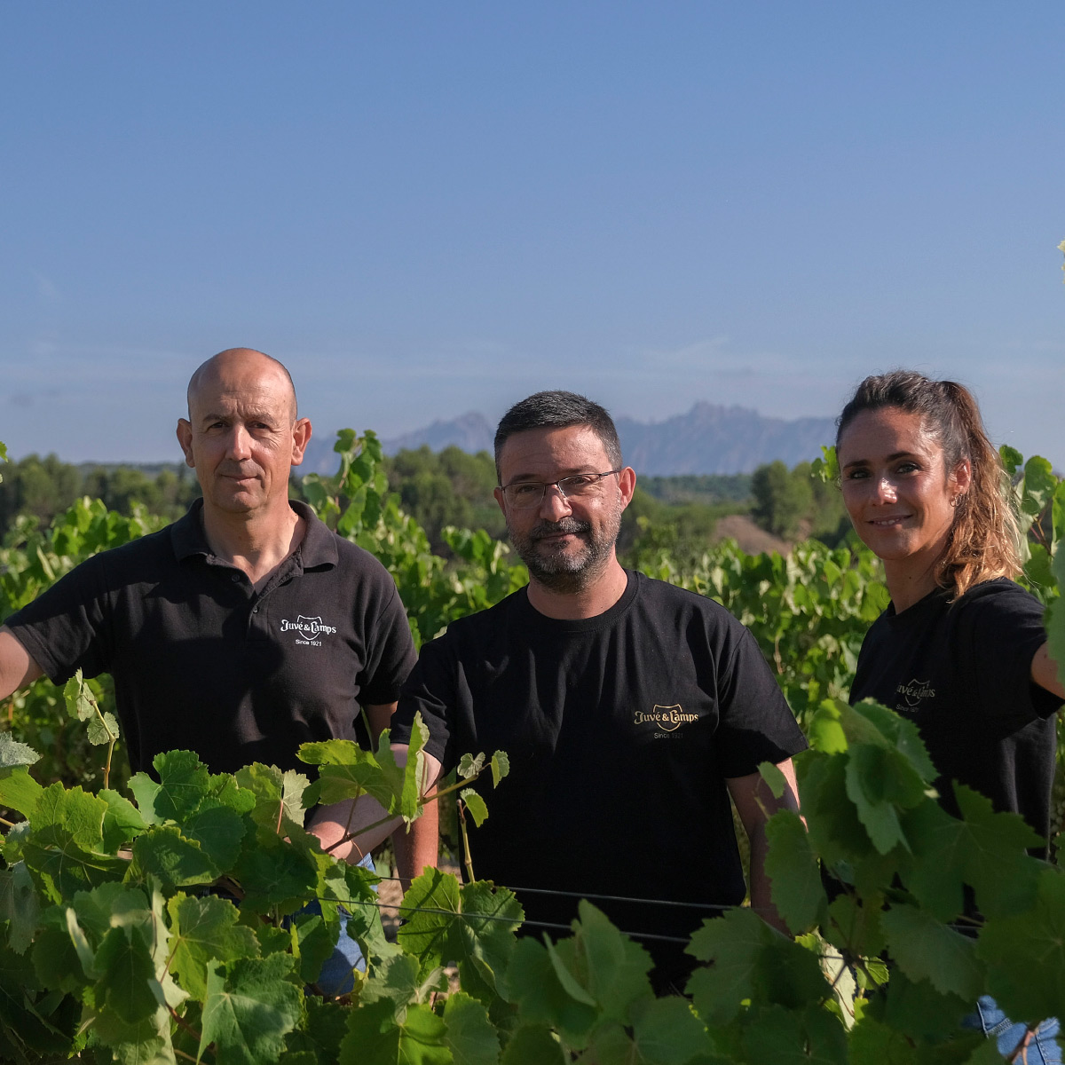 juveycamps's tweet photo. 🗓 El momento de la vendimia lo decide nuestro equipo de enólogos y viticultores, que determina el punto óptimo de maduración que definirá el carácter y personalidad de nuestros elaborados.
·
#juveycamps #juvéstories #cava #vendimia #viñedo #verema #viticultores https://t.co/77FboHnd5m