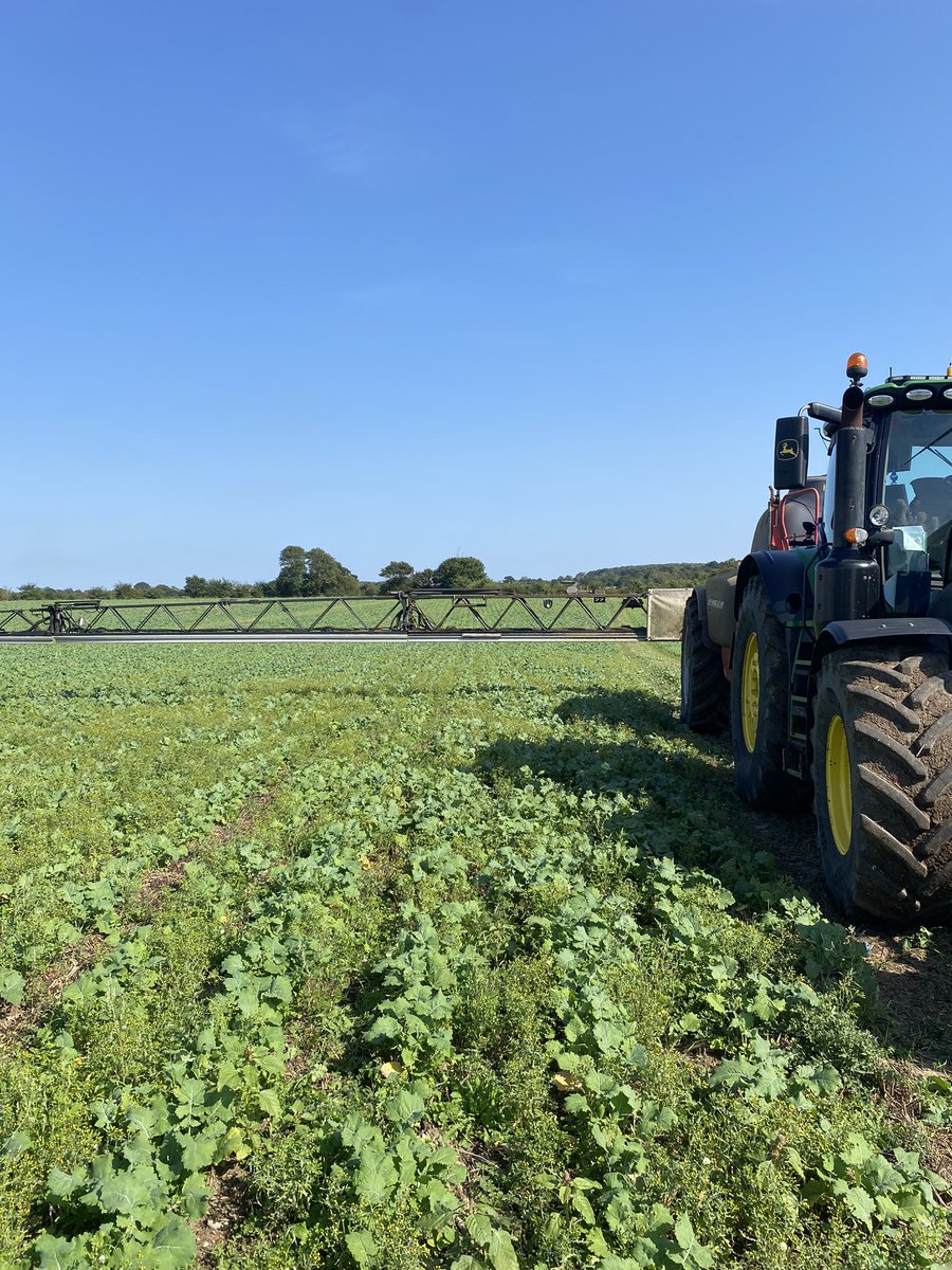 Acacia put in with the Cousins Patriot looking well.