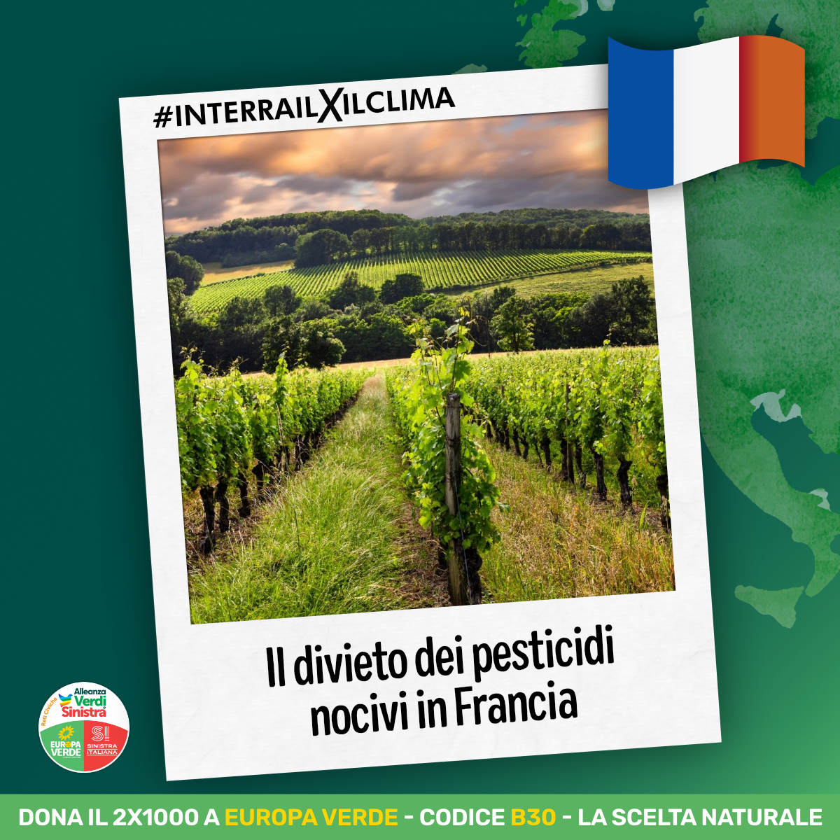 europaverde_it's tweet photo. 🌾🍇 L'#Interrailxilclima continua in #Francia 🇫🇷, dove i campi profumano di natura senza pesticidi nocivi. Un'agricoltura pulita è possibile anche da noi. Un vigneto luminoso ci attende alla prossima fermata 🚂 dell'ecologia!
#17settembre https://t.co/blPbAtPQMH