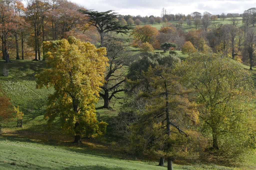 cotswolds_uk's tweet photo. Autumn in the Cotswolds π
Immerse yourselves in autumn with a visit to Dyrham Park on the western edge of the Cotswolds.
Visit Dyrham: https://t.co/1DJGIuIoZ0
#visitthecotswolds #dyrhampark #dyrham #nationaltrust https://t.co/mruOeQ4Hip