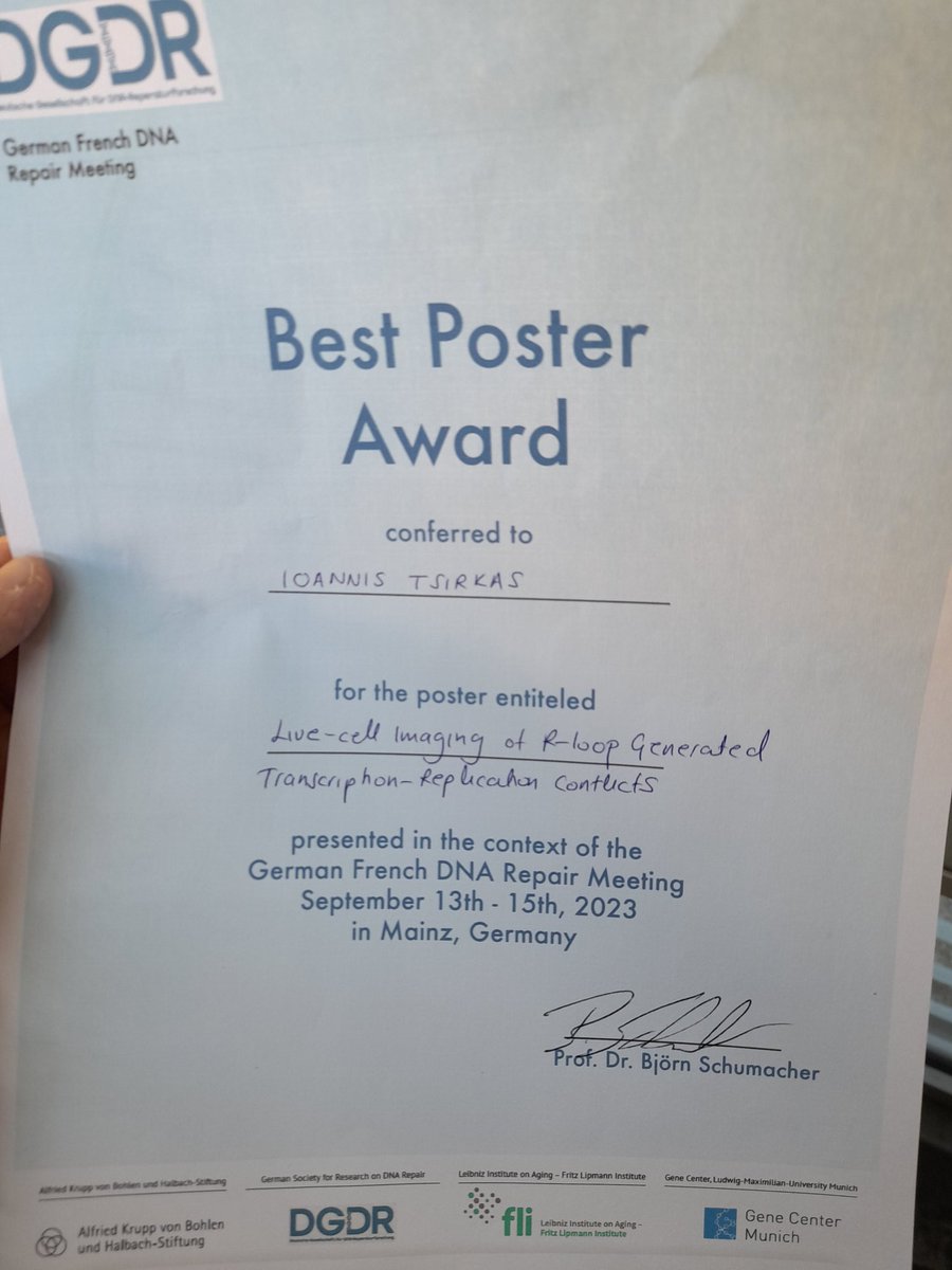 I am thrillled to receive one of the three Best poster awards during the 6th German French #DNARepair Meeting in Mainz! I am very glad that my research on #transcription #replication conflicts and #Rloops attracted big attention and for the feedback I got by everyone stopping by!