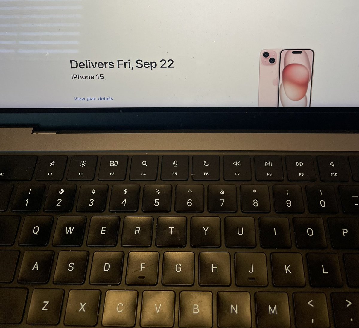 Virtually Carla tweet media