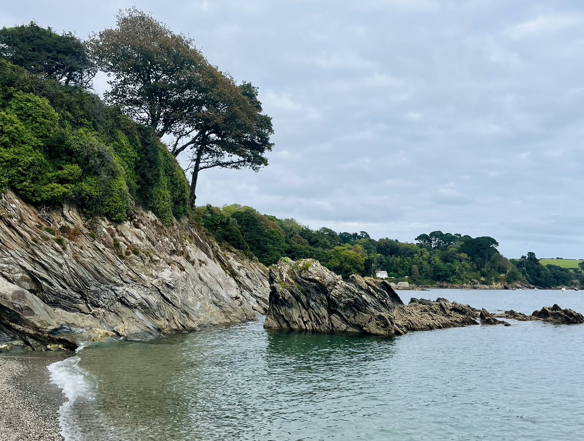 Becca Tanner tweet media