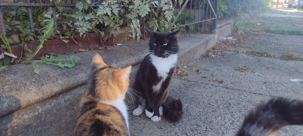 Daisie Cardona tweet media