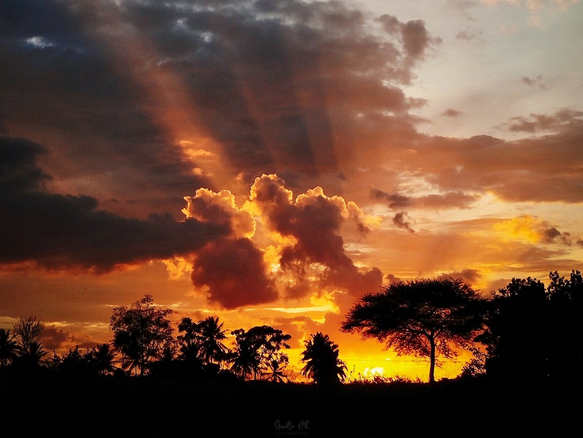 Srivatsa_23's tweet photo. Happiness - available from a sunset near you 🌇😍

Shot On : RedmiNote12
Instagram : @SriPhotography23 

#ShotOnRedmiNote12 #ShotOnRedmi 
#redminote12 #xiaomiimagery #xiaomiglobal #xiaomi #miuilife #xiaomiindia #redmiindia @XiaomiIndia @RedmiIndia @Xiaomi @Snapdragon_IN https://t.co/Dv4y1d3YAm