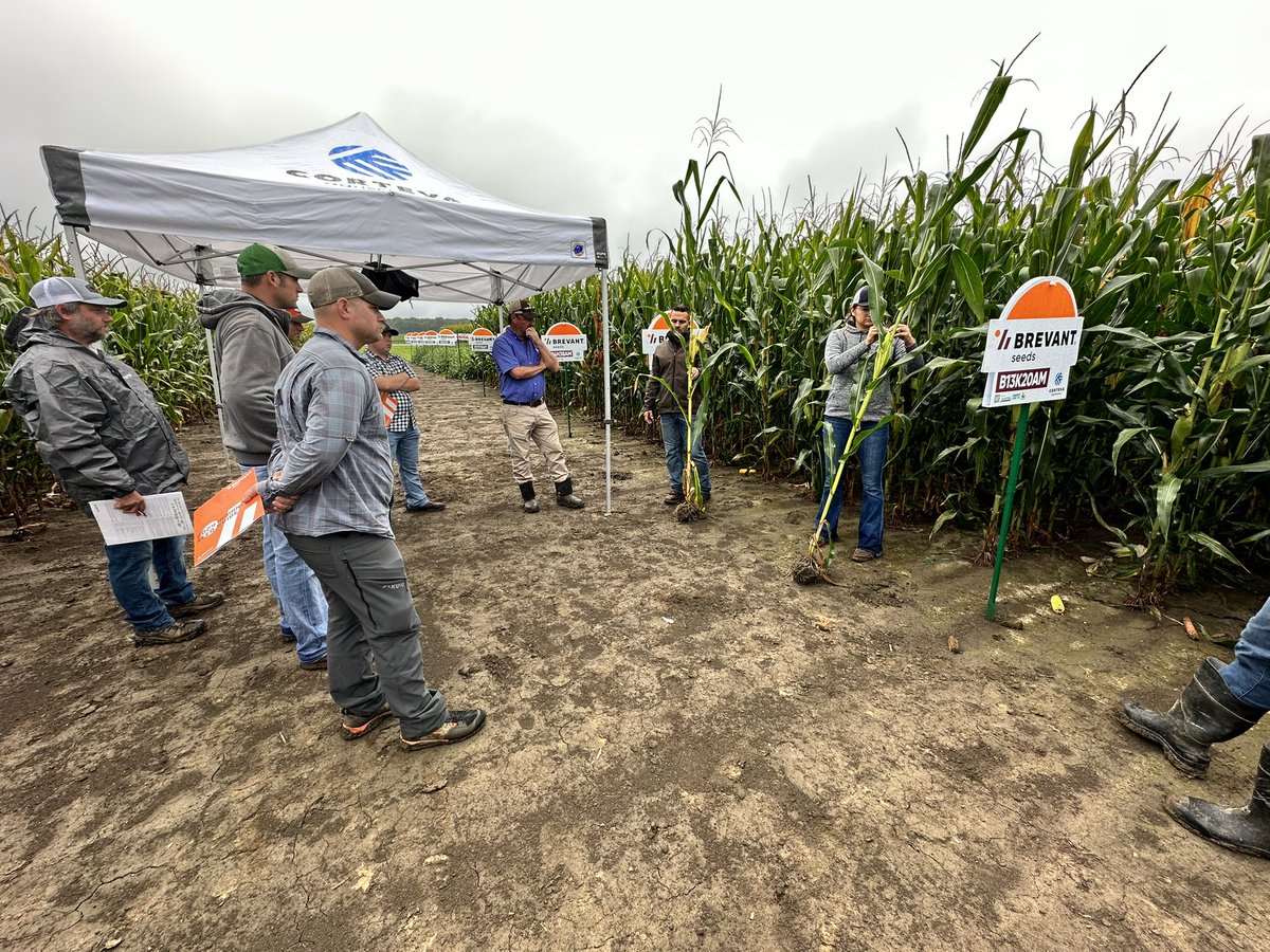 Anthony Lackore tweet media