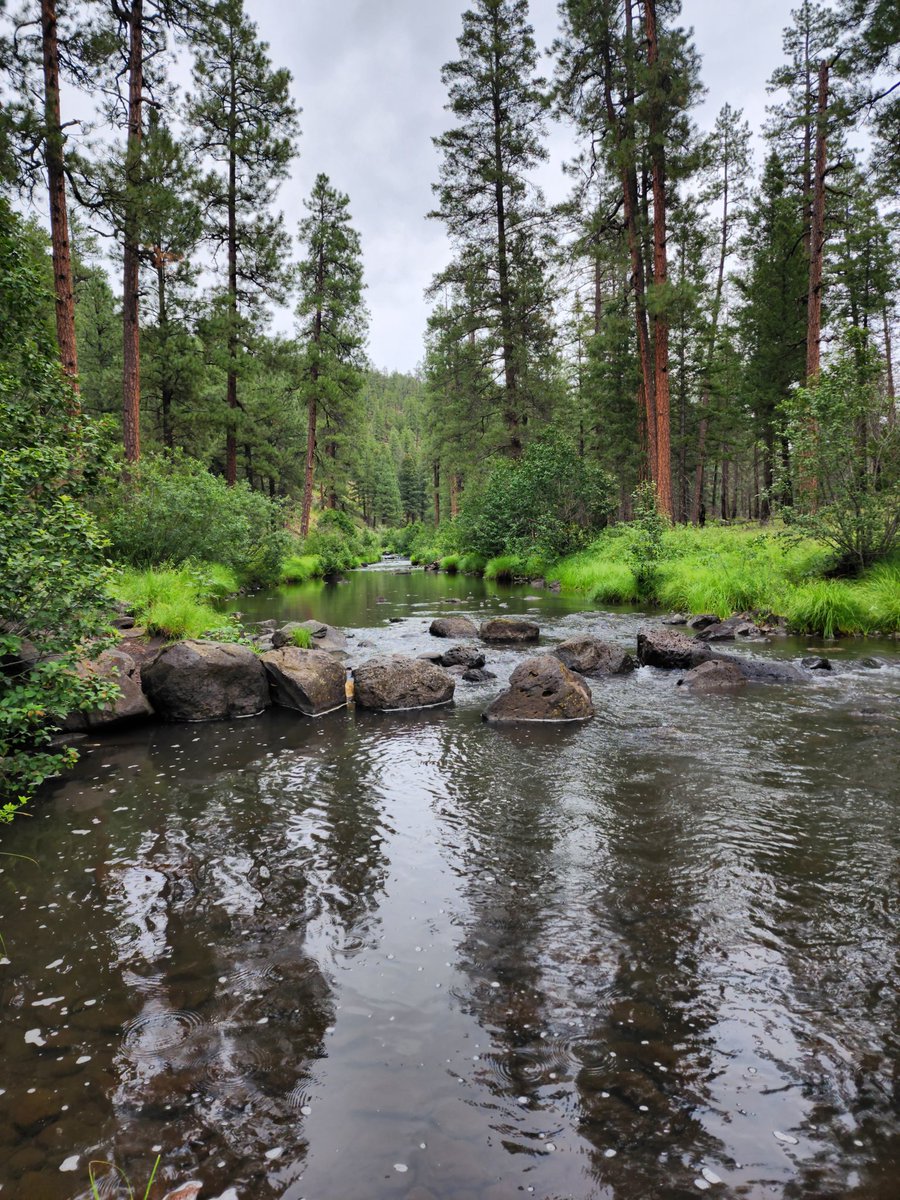 rumblinhogs's tweet photo. @hikingwithshawn White Mountains of AZ to fly fish https://t.co/zbh485bEGs