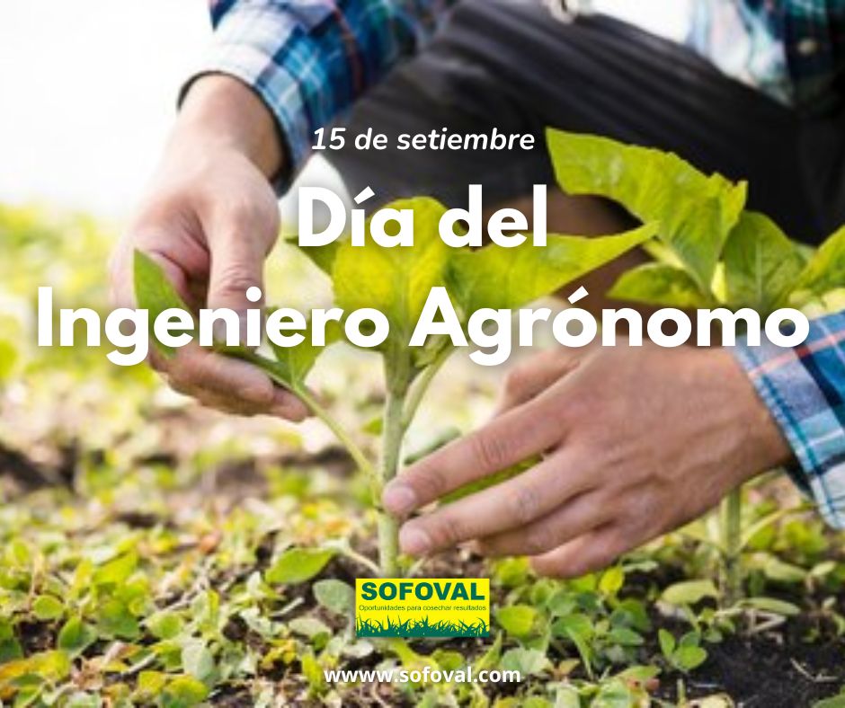sofoval's tweet photo. Saludamos y felicitamos a todos los Ingenieros Agrónomos en su día! En especial a los que forman parte de nuestro equipo, gracias Carlos, César, Nicolás, Margarita, Natalia, Ignacio y Federico por su gran labor🤜🤛🌱 https://t.co/XShBE2eQUc