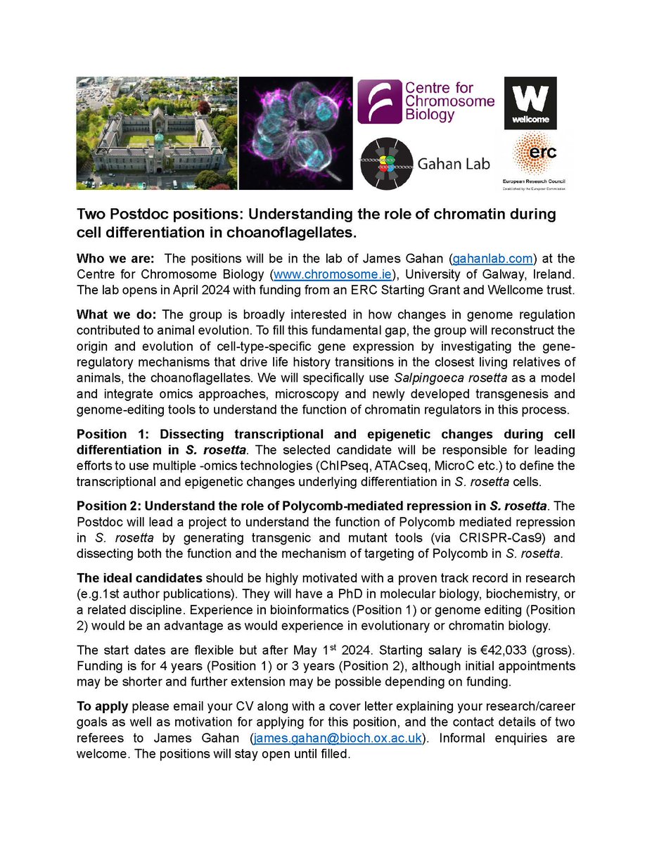 I have open positions for both PhD students and Postdocs in my lab starting next year. Please share far and wide. If you are interested please reach out. gahanlab.com/join-us/