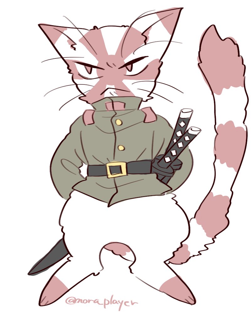 突如の思いつきでCountryCatsにしてしまいましたにゃ
申し訳ございません 