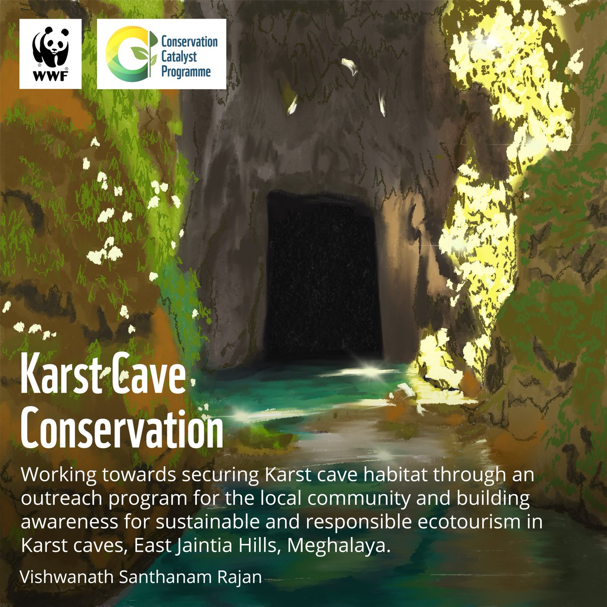 WWFINDIA's tweet photo. We all know the biggest fish is the #shark. But do we know the biggest cave-dwelling fish? Deep in the Karst caves of East Jaintia Hills, #Meghalaya, lives the Neolissochilus pnar, the worldโs largest known subterranean fish.
#ConservationCatalystProgramme #WWFIndia #WWF https://t.co/NMCGQWPKYX