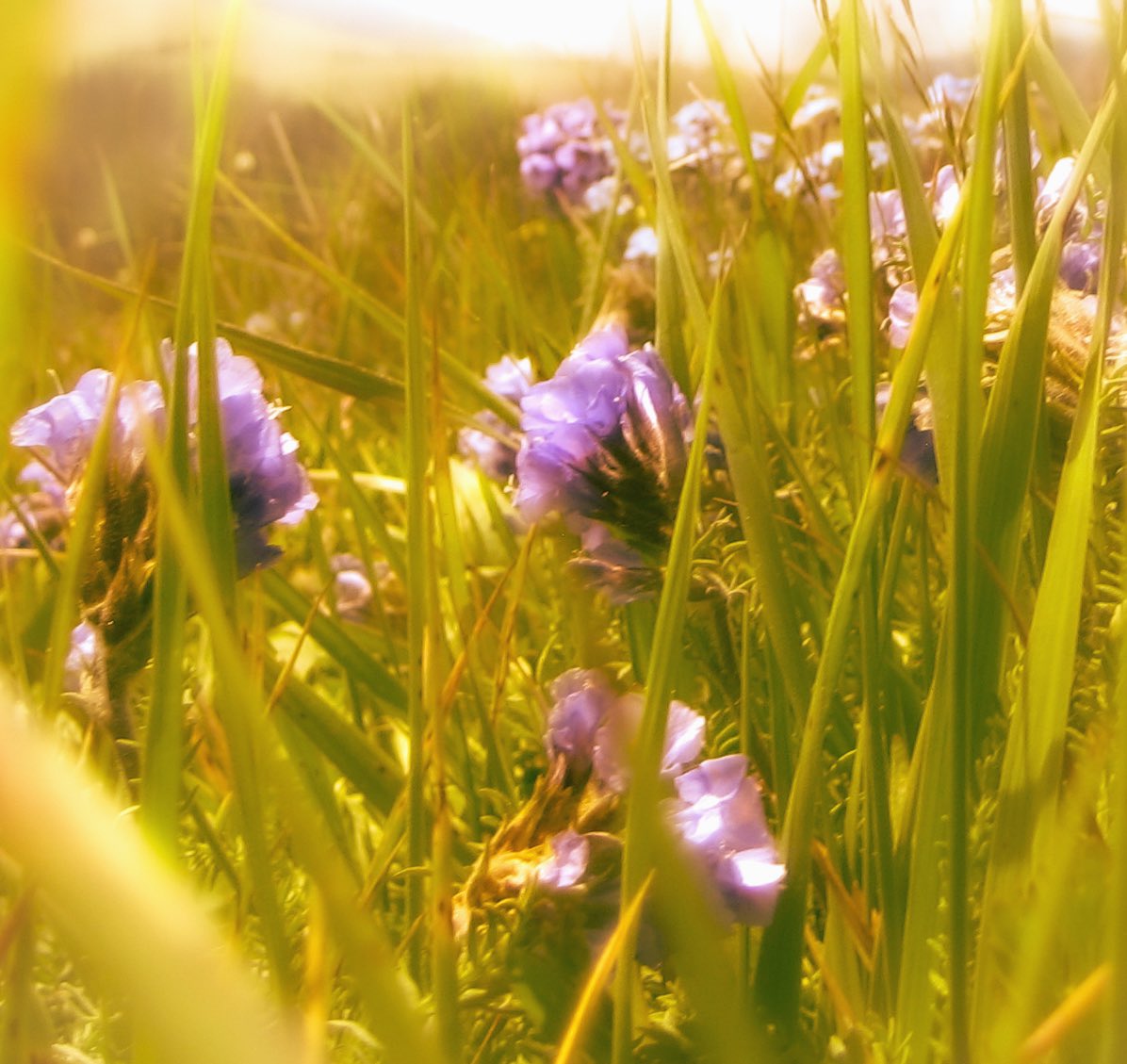 valentina (@imagedeleted) on Twitter photo 