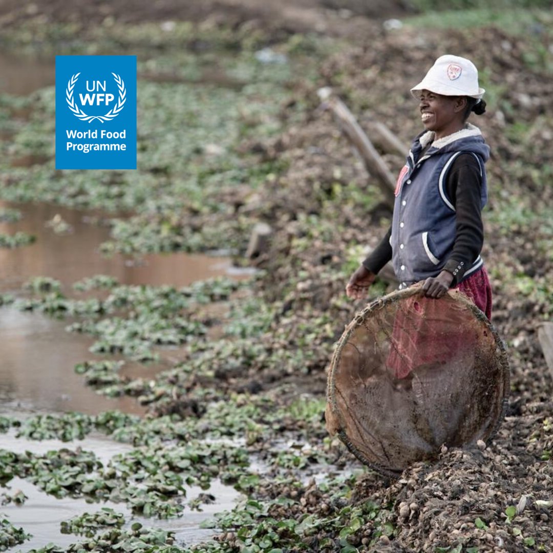 WFP in Madagascar - PAM (@pammadagascar) on Twitter photo 📸 This is how vulnerable people live in some urban areas
📢 Cities & human settlements must be inclusive, safe, resilient & sustainable to achieve 0⃣ #Hunger
➡️ To this end, <a href="/WFP/">World Food Programme</a> is implementing an 🇪🇺 <a href="/eu_echo/">EU Civil Protection & Humanitarian Aid 🇪🇺</a>-funded project in 4⃣ African countries including #Madagascar 📸 This is how vulnerable people live in some urban areas
📢 Cities & human settlements must be inclusive, safe, resilient & sustainable to achieve 0⃣ #Hunger
➡️ To this end, <a href="/WFP/">World Food Programme</a> is implementing an 🇪🇺 <a href="/eu_echo/">EU Civil Protection & Humanitarian Aid 🇪🇺</a>-funded project in 4⃣ African countries including #Madagascar