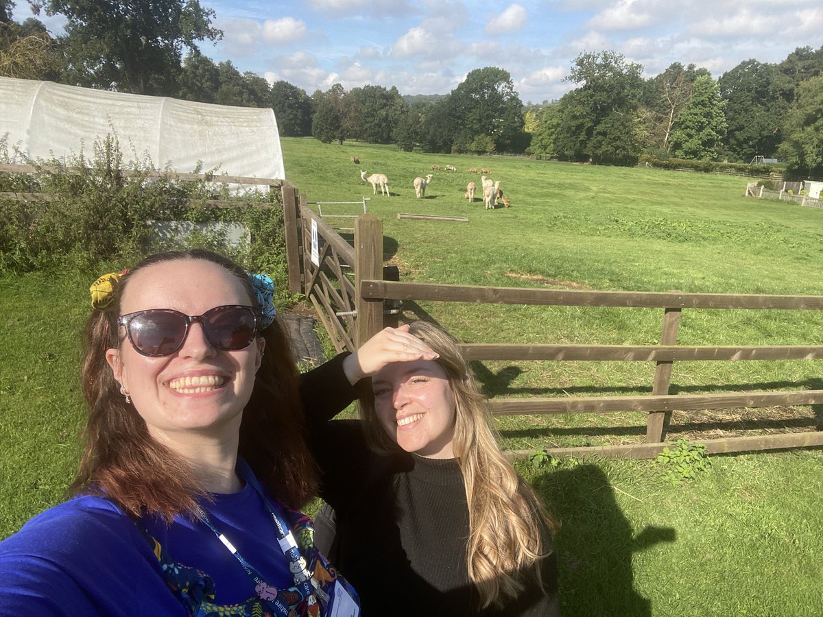 Lori Edwards Suárez tweet media