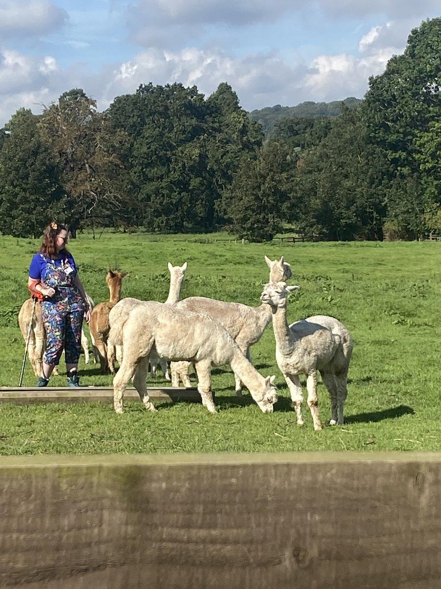 Lori Edwards Suárez tweet media