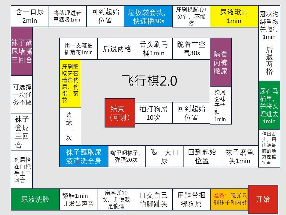 飞行棋——2
#男s #男m #任务狗 #网调任务