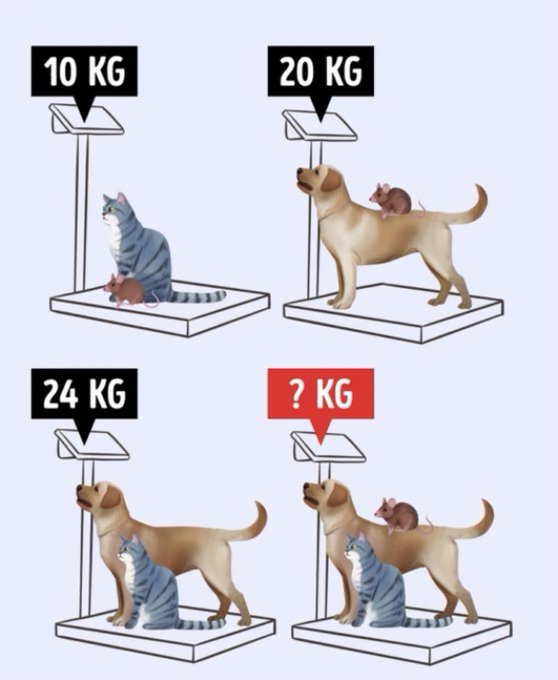 Global_Folder's tweet photo. Africa is the origin of both simple and advanced mathematics. The earliest recorded development of measurement and calculation in Africa was the Lebombo Bone in Africa during the Upper Palaeolithic Period.

How good are you at Mathematics?

Solve this https://t.co/K4yjMsHBpx