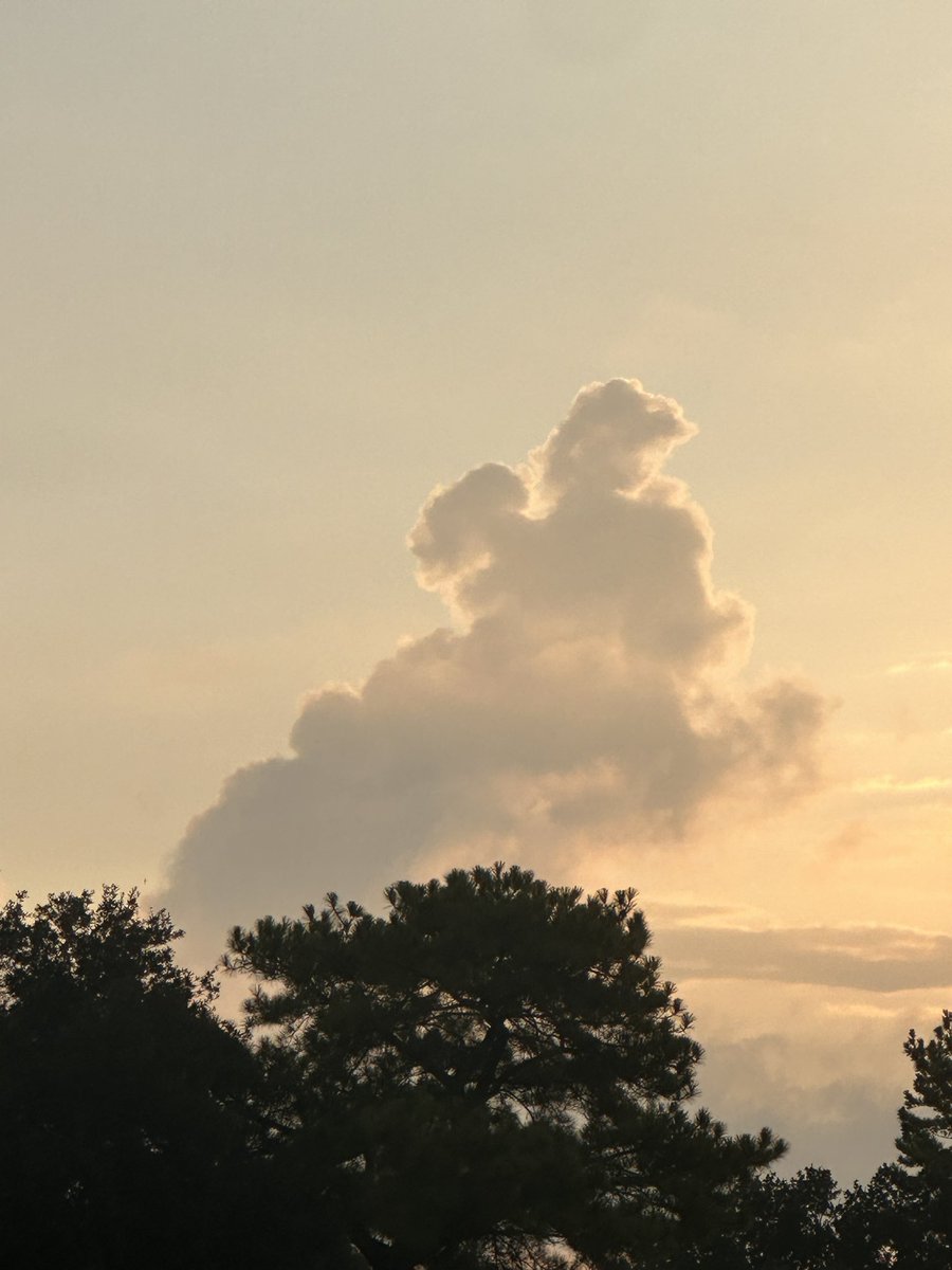 One of my NAC students was taking a picture of the sky and I asked her what she was taking a picture of and she said, “It is a bear”. I love how they are using their words and identifying things even in the clouds! <a href="/LabayMS/">Labay Middle School 🦅</a>