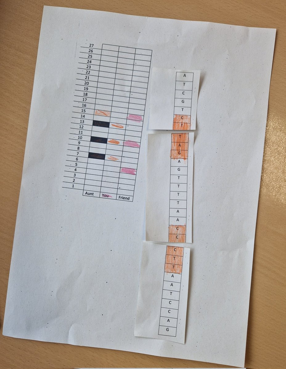 SmithycroftPhys's tweet photo. Congratulations to Rebecca in 1E who won our DNA inheritance activity! π
Her DNA sequence matched that of poor old Aunt EDNA, and Rebecca got to inherit her chocolate! π«
#ScienceIsFun #ScienceIsNurturing #EverydayScience https://t.co/1W9F69zYTp