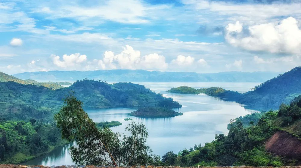 Open Data Watch (@opendatawatch) on Twitter photo “As we embark on delivering a rescue plan for the SDGs & countdown to 2030, accelerated action for data is imperative. The need to invest in data & statistics has never been so urgent.”
More from <a href="/yusuf_murangwa/">Yusuf Murangwa</a> of <a href="/statisticsRW/">National Institute of Statistics of Rwanda</a> in new Clearinghouse post: buff.ly/3Zpni5S “As we embark on delivering a rescue plan for the SDGs & countdown to 2030, accelerated action for data is imperative. The need to invest in data & statistics has never been so urgent.”
More from <a href="/yusuf_murangwa/">Yusuf Murangwa</a> of <a href="/statisticsRW/">National Institute of Statistics of Rwanda</a> in new Clearinghouse post: buff.ly/3Zpni5S