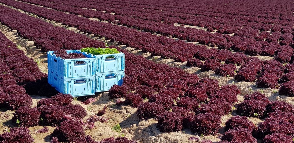 news_packaging's tweet image. Eisberg's Successful Partnership with Tosca for Sustainable Transport Packaging
spnews.com/eisberg-tosca/
#sustainablepackaging #plasticpackaging #transitpackaging #sustainability #circulareconomy #recycledmaterials #resourceefficiency