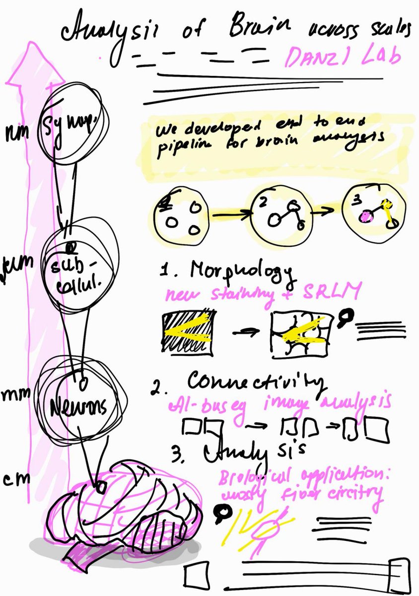 JLyudchik's tweet photo. Representing @DanzlLab at the welcoming session for the new PhD cohort at @ISTAustria
#yetanother poster with CATS data just because I can๐คช
+ a little sneak peek at my poster design process https://t.co/pc7vqZdVaX