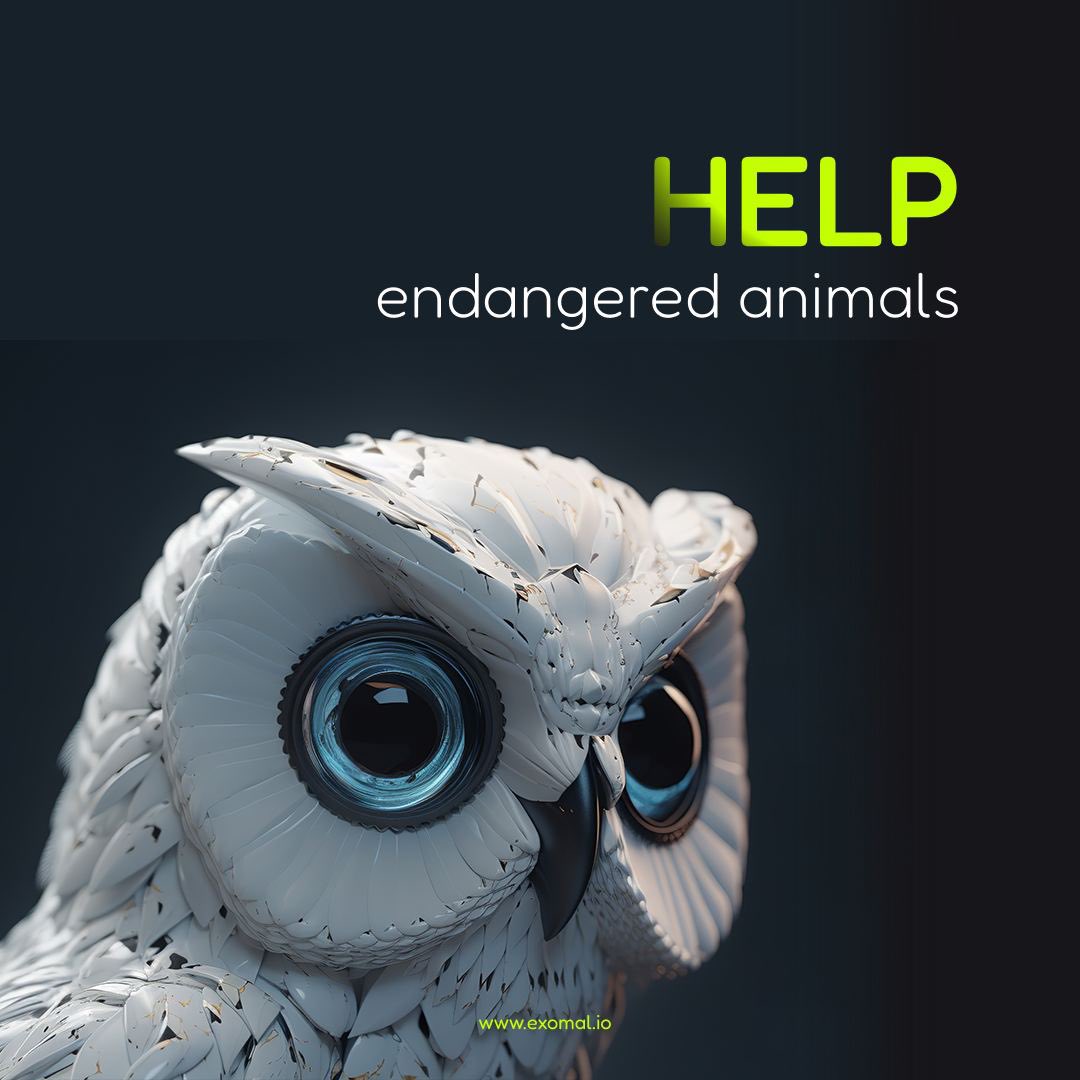 Exomalnft's tweet photo. 👍We help white owls. 

😟Their population is rapidly declining. 

In Malkia Park, Slovakia, there is only one owl left.

💰We are now developing an NFT with this owl. The half of the money from the sale of the NFT will go to help this owl. https://t.co/arFrOEbdgh