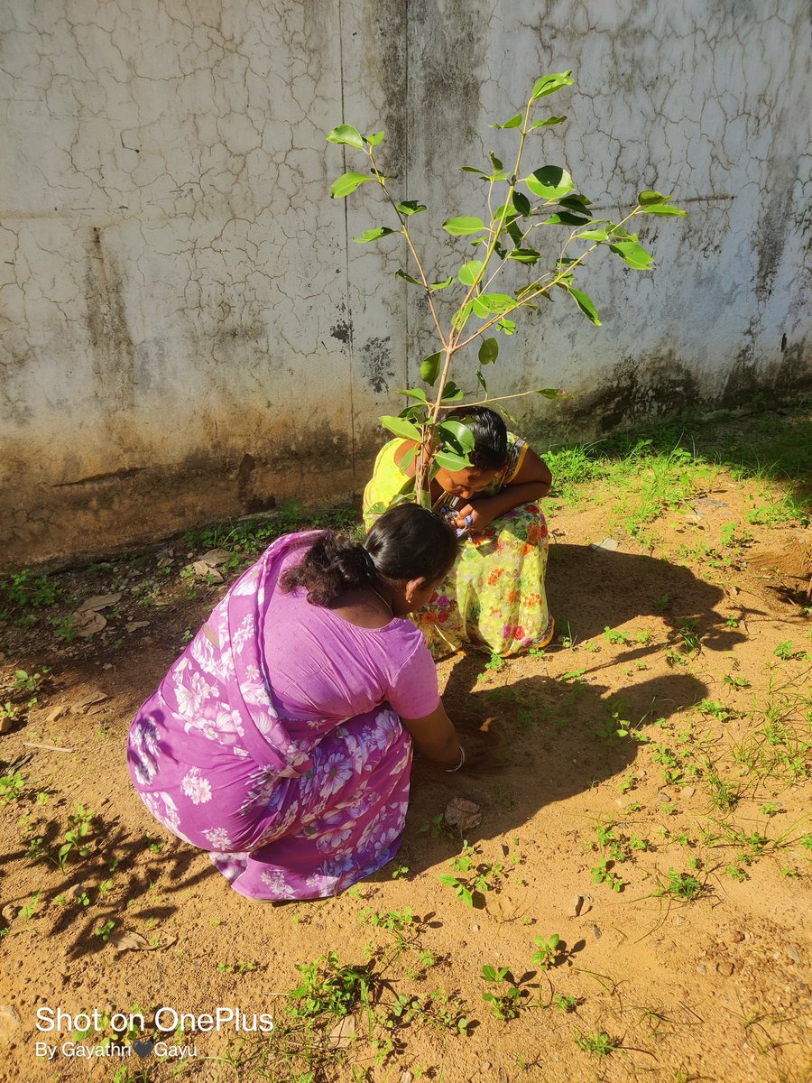 CommrPoonamall2's tweet photo. Poonamallee Mpty Swachhata League 2.0 Pledge &amp; Plantation drive 🌱 #IndiaVsGarbage #SwachhBharatMission 
@SwachhBharatGov
@MoHUA_India
@Secretary_MoHUA
@RoopaMishra77
@mygovindia @SDMeena_IAS @mawsTamilnadu
#IndianSwachhataLeague, #YouthVsGarbage, #GarbageFreeIndia https://t.co/XDoZ8W6VwQ