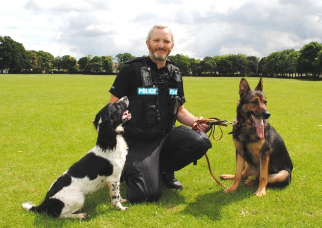 Fabulous Finn®️ tweet media