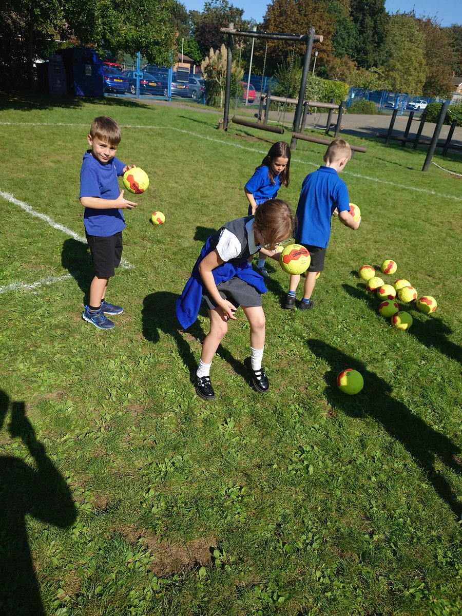 Mr Green tweet media