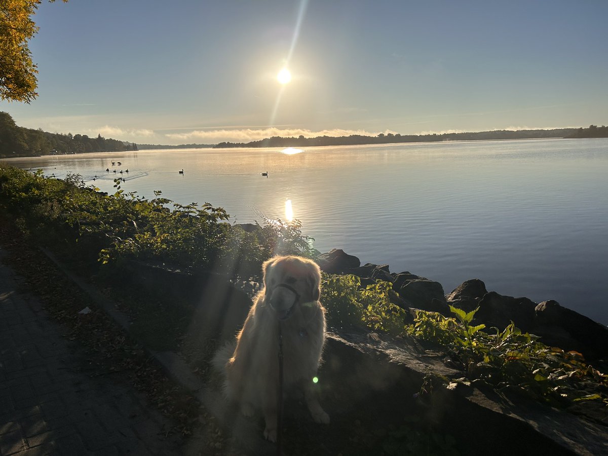 Denis Gauthier tweet media