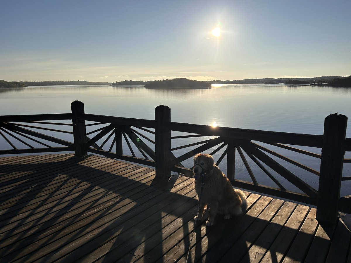 Denis Gauthier tweet media