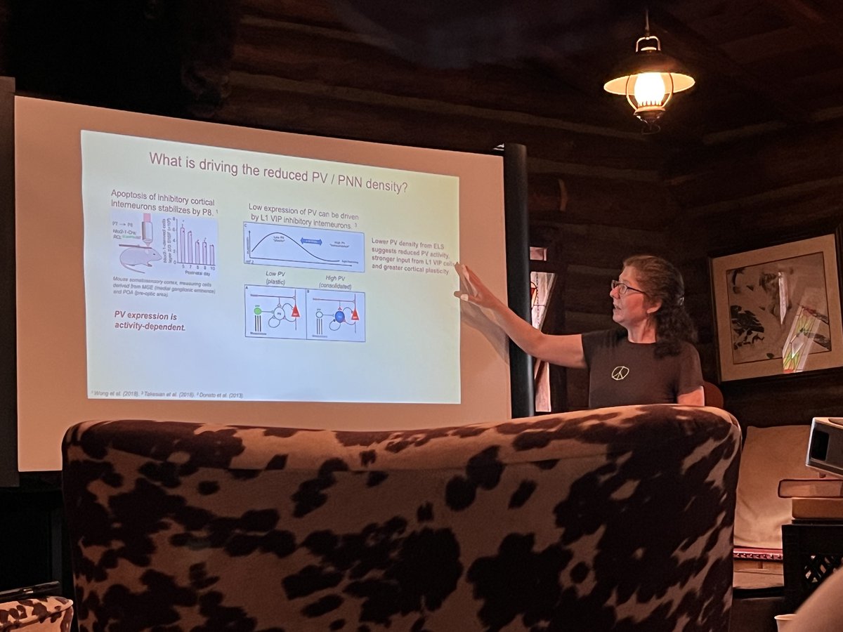 neomedhearing's tweet photo. This August, four of our faculty members attended the Fourteenth International Workshop on Auditory Processing at @RimrockDR in Cody, Wyoming. What goes better with hearing research than horses? 🐴 https://t.co/sABuk61Tsj