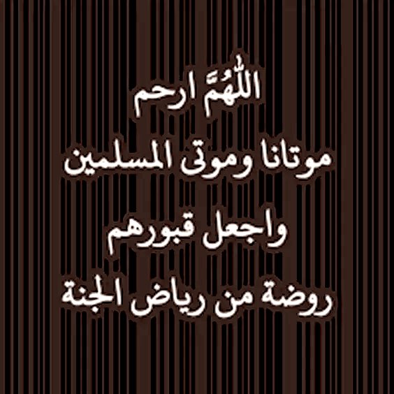 fafsmo's tweet photo. اللهم ارحم ابي واخواني وجميع اموات المسلمين https://t.co/Ds7hY1Ixja